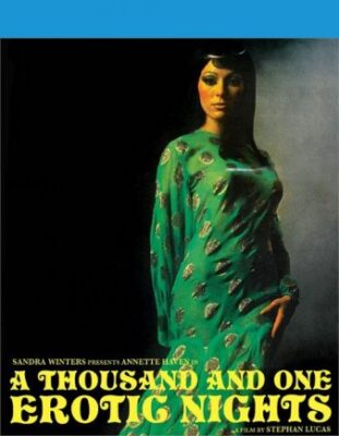 poster of a thousand and one erotic nights بوستر فلم ألف ليلو ليلة شهوانية